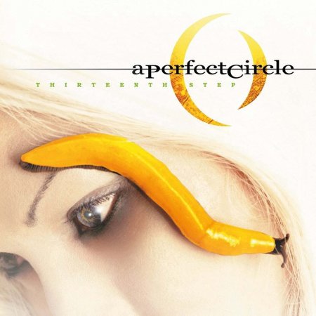 Perfect Circle - Thirteenth Step