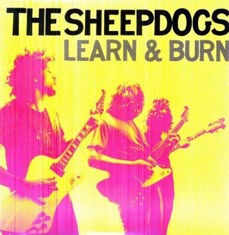 Sheepdogs - Learn & Burn