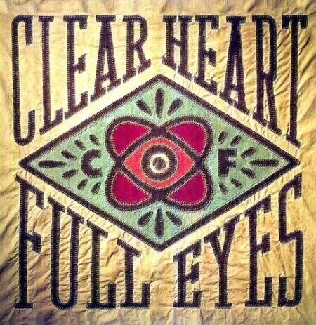 Craig Finn - Clear Heart Full Eyes