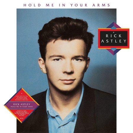 Rick Astley - Hold Me in Your Arms