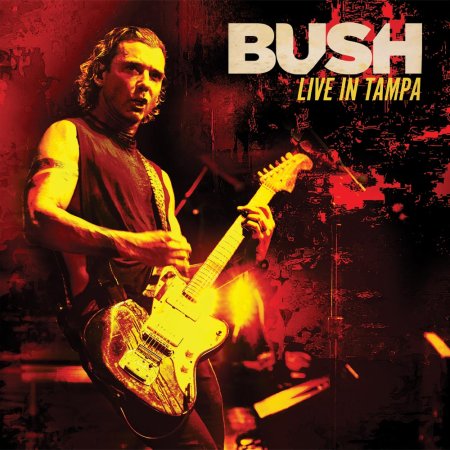 Bush - Live In Tampa