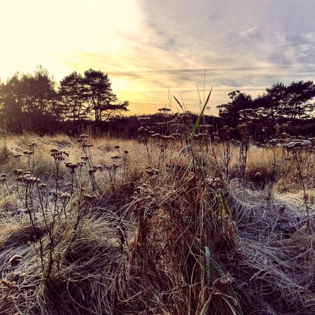 Ane Brun - Leave Me Breathless