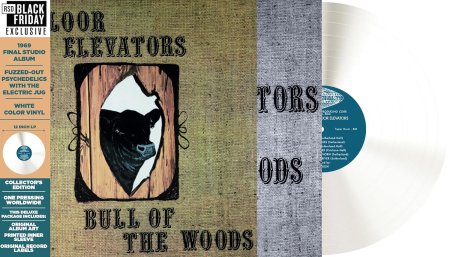 The 13th Floor Elevators - Bull of the Woods