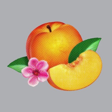 Phoenix - BANKRUPT!