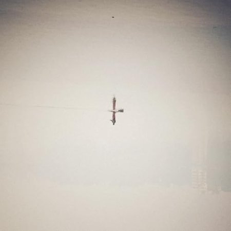 Qasim Naqvi - Endling
