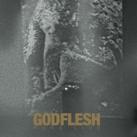 Godflesh - PURE LIVE