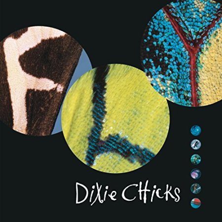 The Chicks - Fly