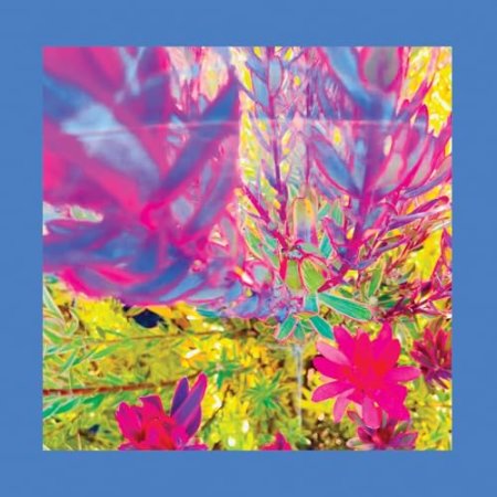 The Reds, Pinks & Purples - The Past is a Garden I Never Fed