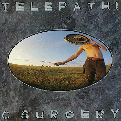 The Flaming Lips - Telepathic Surgery
