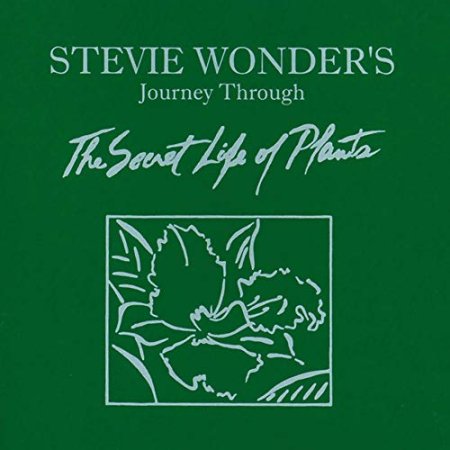 Stevie Wonder - Journey Through The Secret Life Of Plants