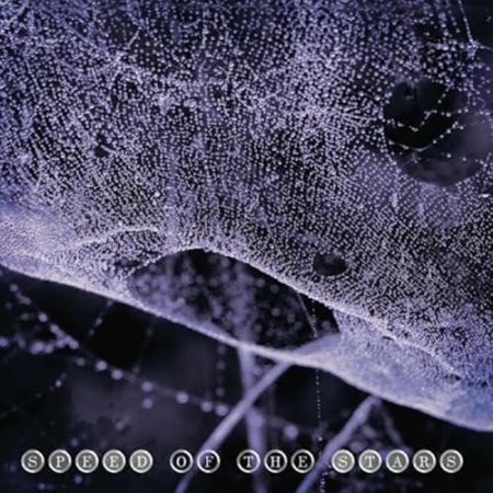 Speed Of The Stars (steve Kilbey & Frank Kearns) - Speed Of The Stars