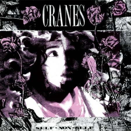 Cranes - Self-Non-Self
