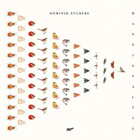 Dominik Eulberg - Mannigfaltig