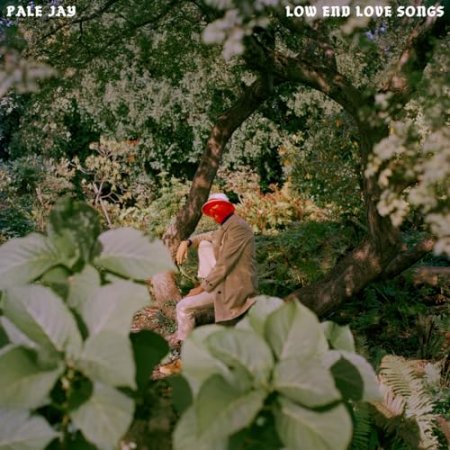 Pale Jay - Low End Love Songs