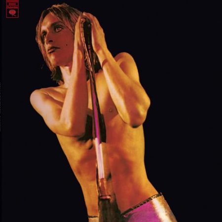 Iggy & The Stooges - Raw Power