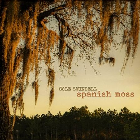Cole Swindell - Spanish Moss