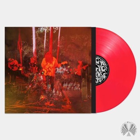 Psychedelic Porn Crumpets - Levitation Sessions