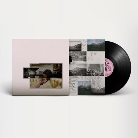 Fionn Regan - O Avalanche