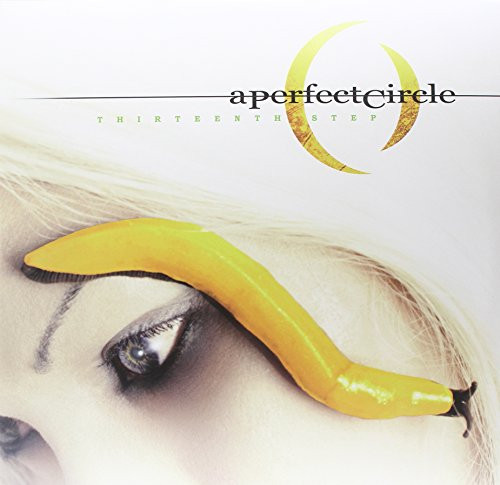 A Perfect Circle - Thirteenth Step