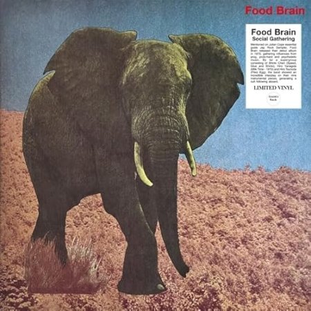 Foodbrain - Social Gathering