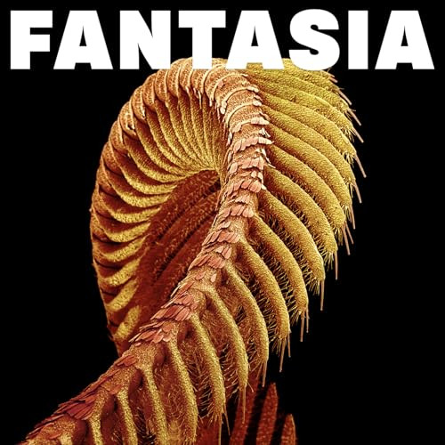 Slift - Fantasia - Yellow