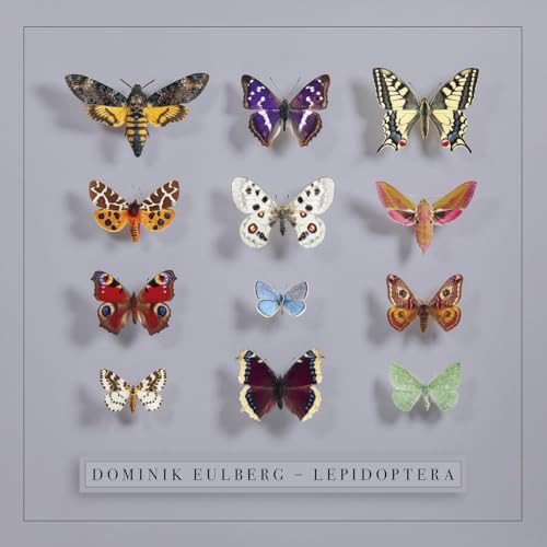 Dominik Eulberg - Lepidoptera