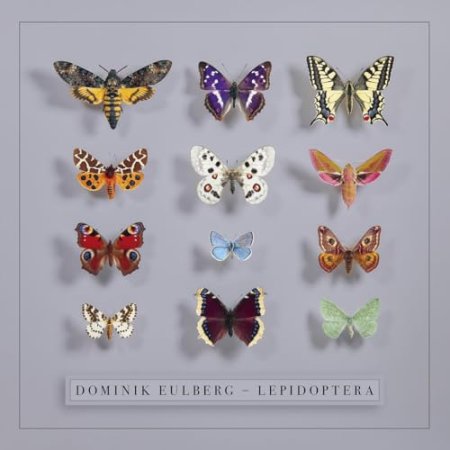 Dominik Eulberg - Lepidoptera
