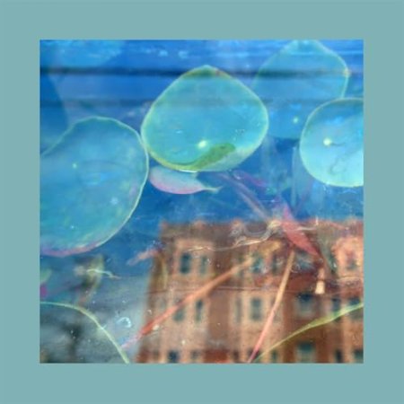 The Reds, Pinks & Purples - Acknowledge Kindness