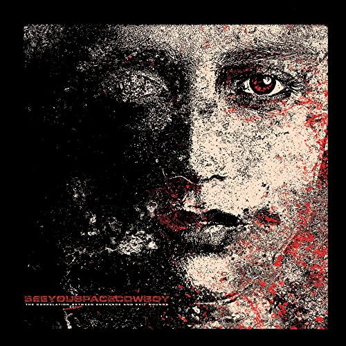 Seeyouspacecowboy - The Correlation Between Entrance and Exit Wounds