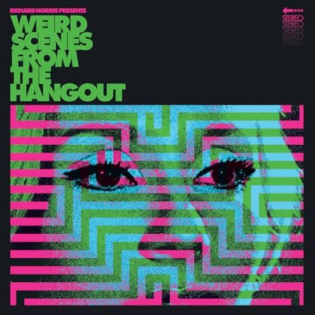 Various Artists - Weird Scenes from The Hangout - Psychedelic & Freakbeat Dancefloor Anthems 1967-1982
