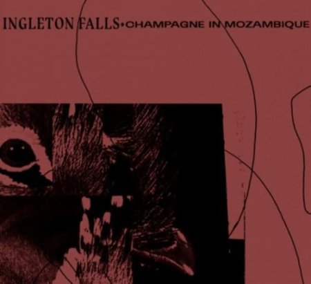 INGLETON FALLS - Champagne In Mozambique