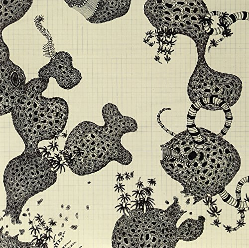 The Shins - Wincing the Night Away