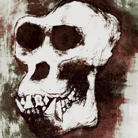 Ol' Gorilla Bones X the Dirty Sample - Revenge 1