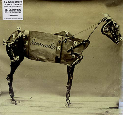 Chadwick Stokes - The Horse Comanche