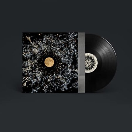 Lisa O'Neill - All Of This Is Chance