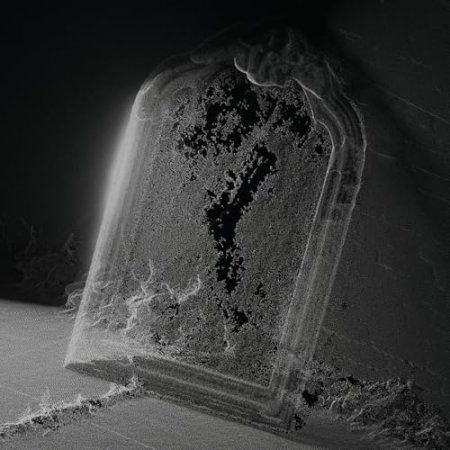 Visible Cloaks - Paradessence