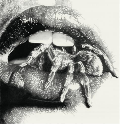 Masheena - Let The Spiders In