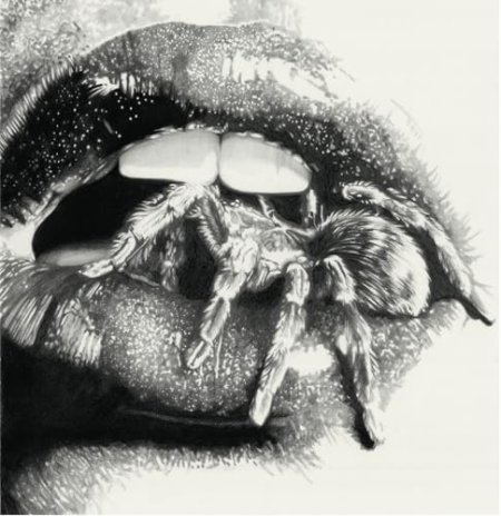 Masheena - Let The Spiders In