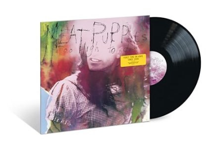 Meat Puppets - Too High To Die